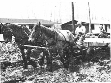 Early transport at Whiteshell Laboratories (1963). The terrain at WL is similar to that at CRNL and it is therefore not surprising that similar “road” problems were encountered in the establishment of the infrastructure there. This 1963 photo from the March 1972 issue of AECL Review shows the conditions at that time.Photo source – AECL. 112-1000
