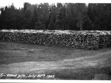 The Woodpile. 30 July 1945. Numerous houses (poorly insulated), none privately-owned have been or are being built by this point of 1945 and more would soon be added. Most had wood-fired furnaces. Photo Source – AECL. 1241000